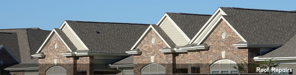 RoofRepairHeader